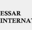 Essar International Logo